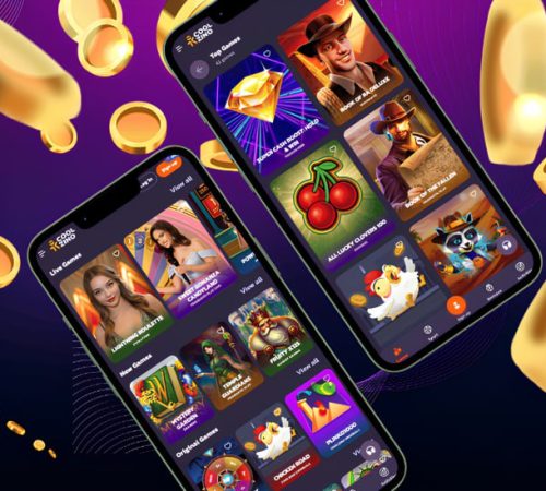 Coolzino App y Acceso Móvil